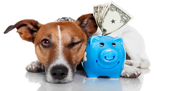 Самые необычные потребительские кредиты!