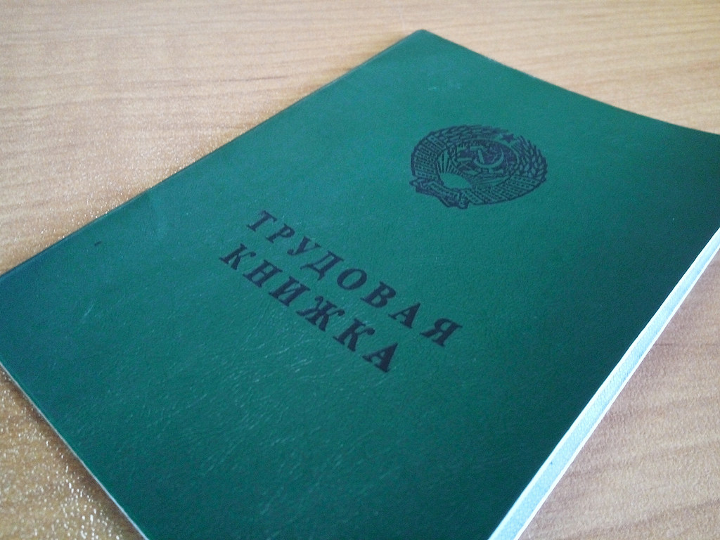 Электронные трудовые книжки могут запустить уже в следующем году