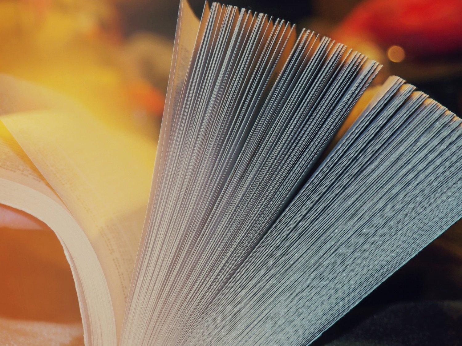 Правда и вымысел о кредитной истории