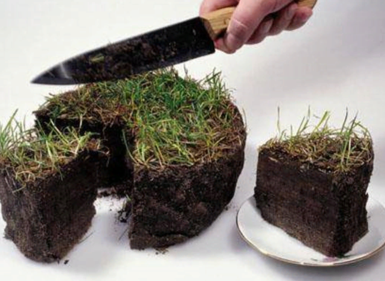 Как адвокаты земельный участок покупали