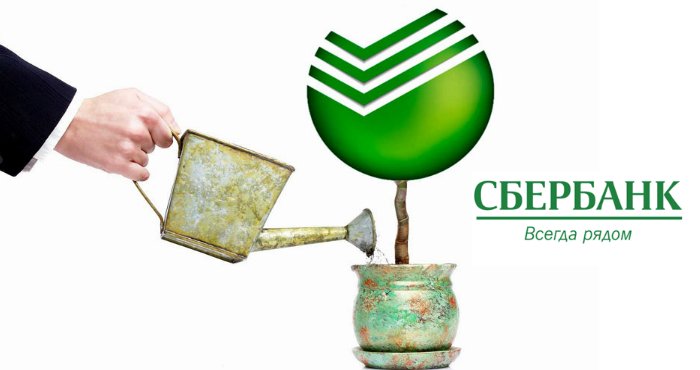 Сбербанк вклады для физических лиц: ставки в 2020 году 