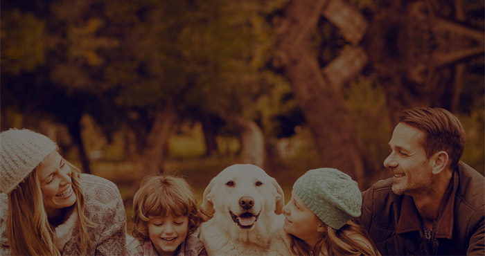 Банкиры наносят ответный удар: битва за страховку