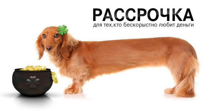 Чем рассрочка отличается от кредита