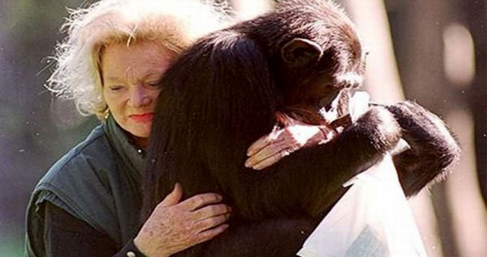 Самая богатая обезьяна